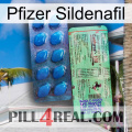 Pfizer Sildenafil new02